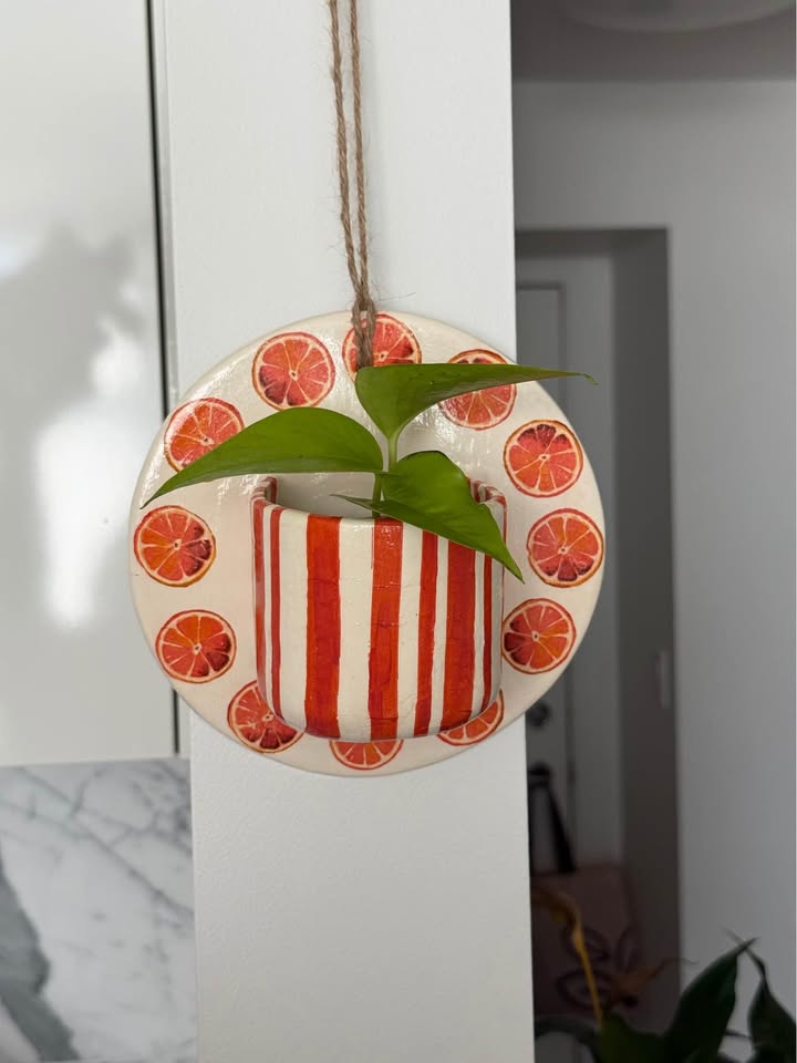 Handmade Citrus Wall Planter + free plant