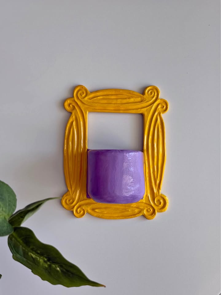 Friends themed Wall Planter + free plant
