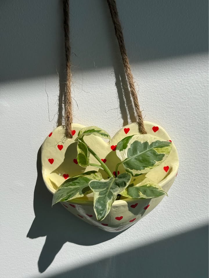 Wall planter + free Pothos
