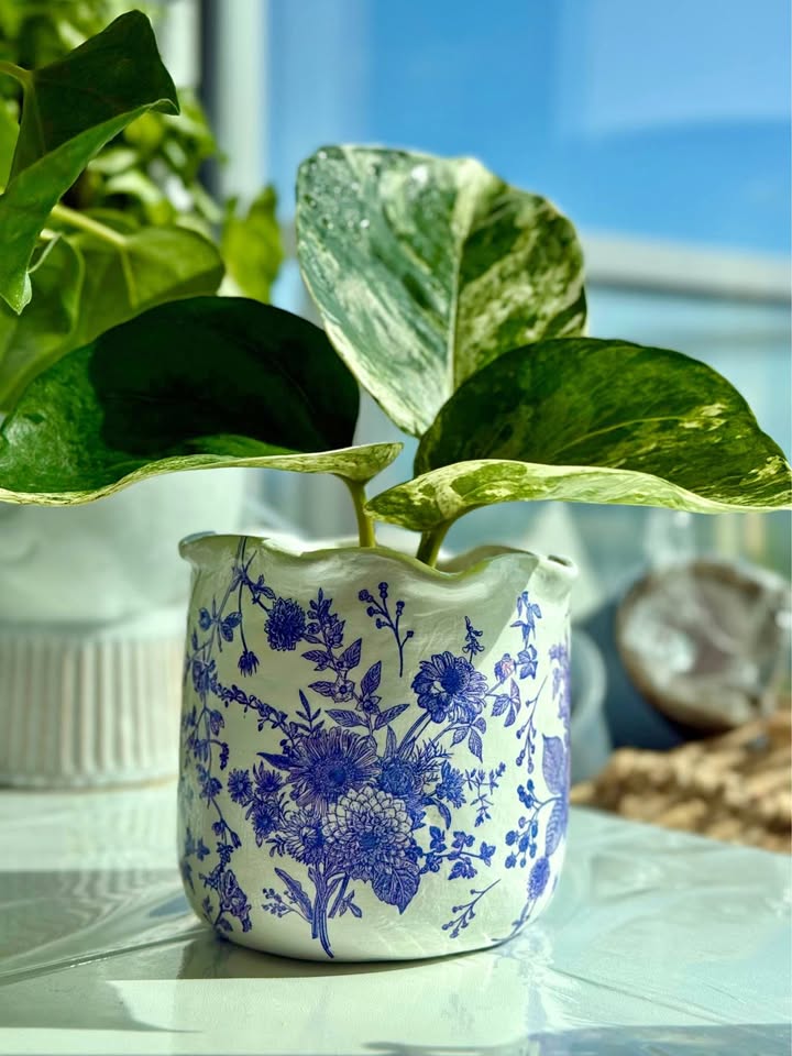 Handmade White Floral Planter + free rooted plant