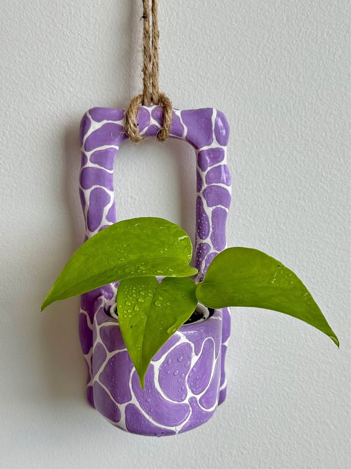 Wall Planter + free neon Pothos plant