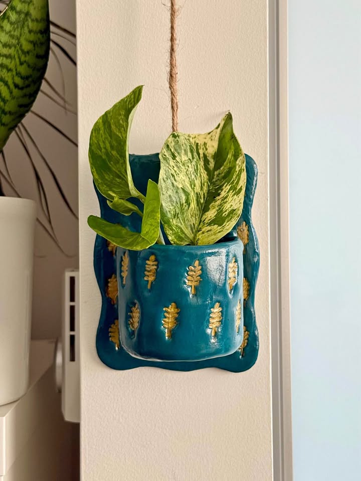 Wall Planter + free plant