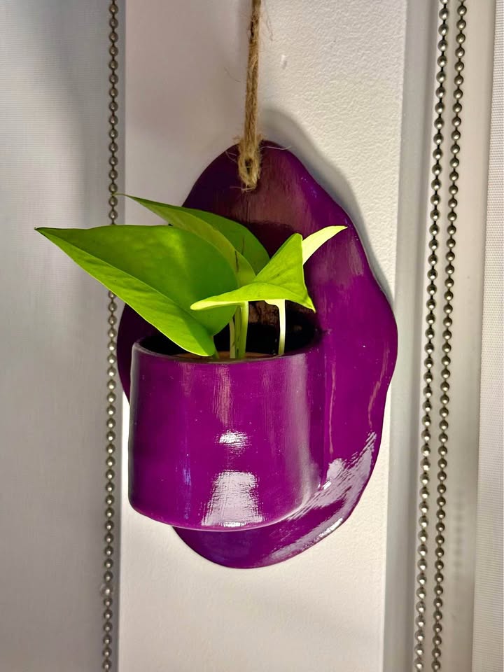 Handmade wall hanging planter/ plant holder