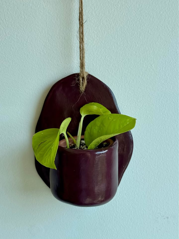 Wall Planter + free plant